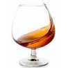 Brandy / Cognac